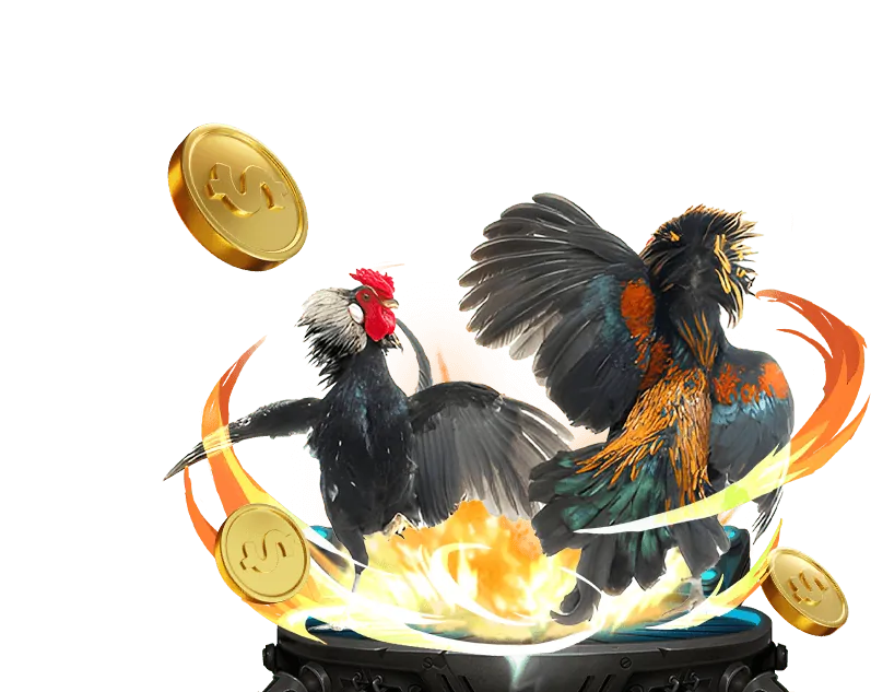 Giới thiệu tổng quan về nền tảng mb66